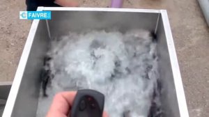 Перекачка рыбы в рыбонасосом Pescamotion 6' в подающий бункер сортировщика   FAIVRE RU