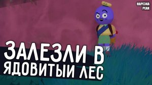 ЗАЛЕЗЛИ В ЯДОВИТЫЙ ЛЕС