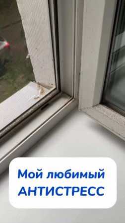 0fac72c0d65a440da4ef8ab0ed7729a1