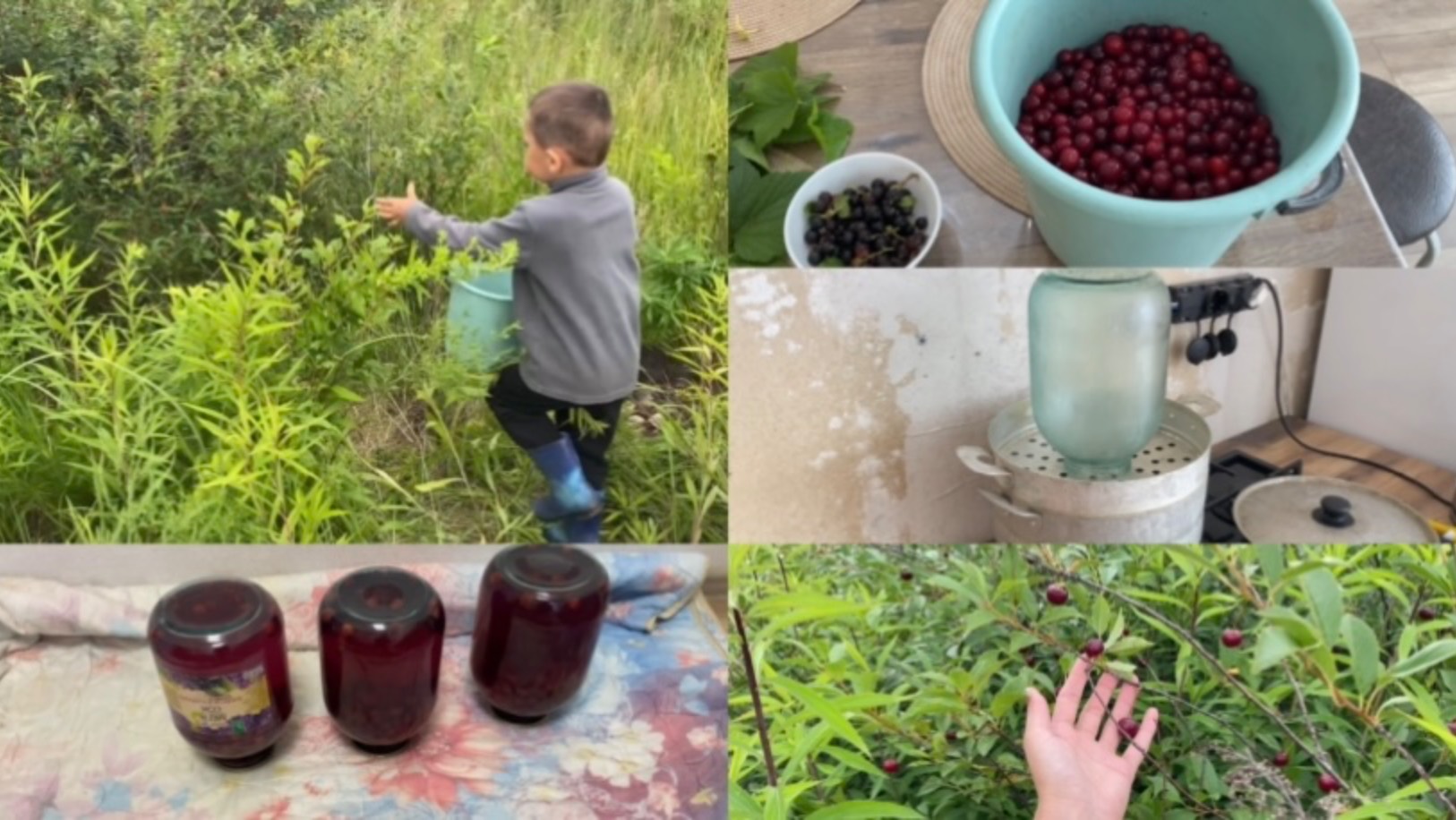 НА ПУСТОМ УЧАСТКЕ СОБРАЛИ ВИШНЮ// ЗАКРЫЛА КОМПОТЫ НА ЗИМУ🔥 НАТКНУЛИСЬ НА ЧЕРНУЮ СМОРОДИНУ смотреть онлайн
