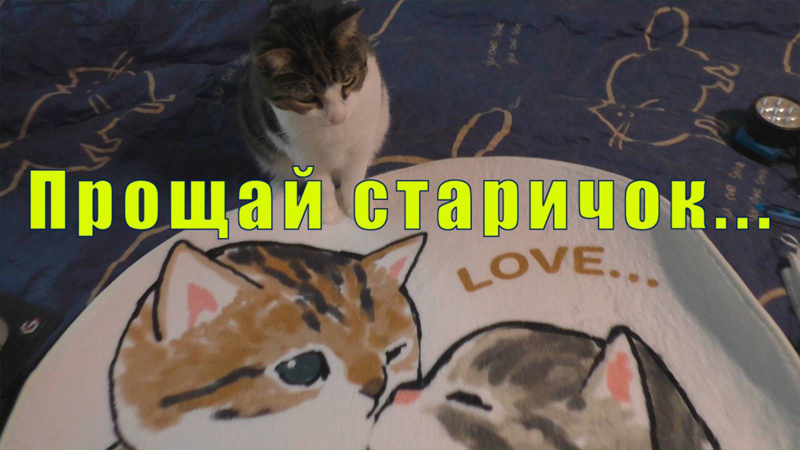 ТРИША УШЕЛ НА РАДУГУ/ РАНЕВСКАЯ/ СПЕКТАКЛЬ ОГОНЬ  /19  и 20 и 21 июня 2025