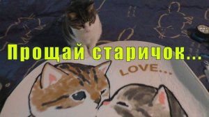 ТРИША УШЕЛ НА РАДУГУ/ РАНЕВСКАЯ/ СПЕКТАКЛЬ ОГОНЬ  /19  и 20 и 21 июня 2025