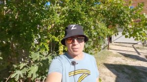 Канал не политический, но... Пора определяться! Крым и всё остальное.