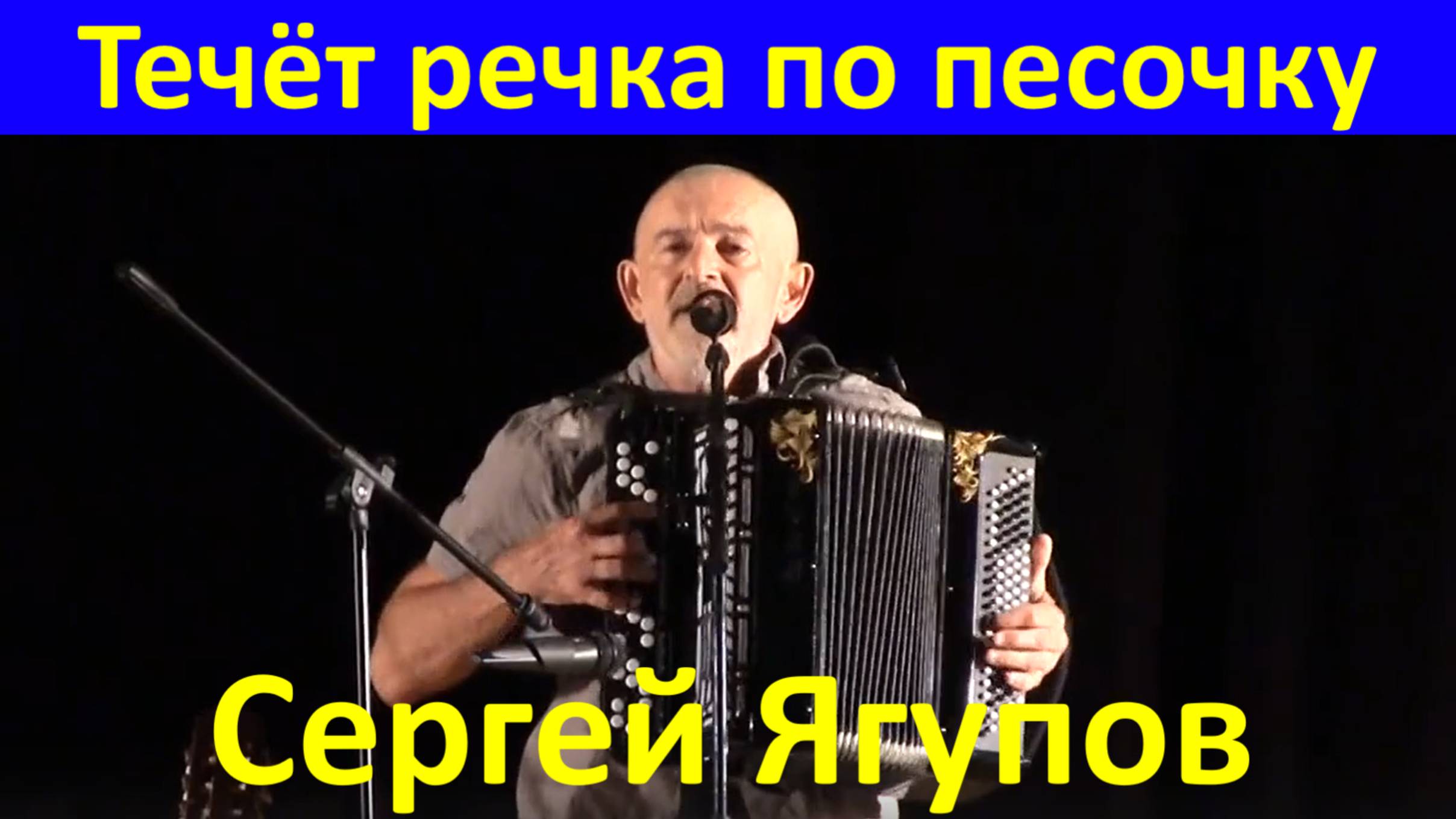 Песня Течёт речка по песочку Песни на баяне Сергей Ягупов