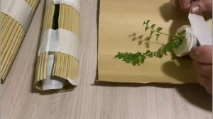 №82. Собираю посылку для зрителя канала.