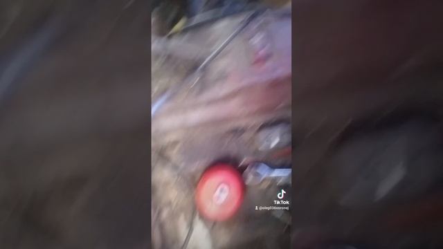1000053493.mp4