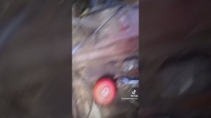 1000053493.mp4