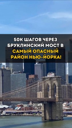 50 000 шагов через Бруклинский мост в самый опасный район Нью-Йорка! 🚶♂️