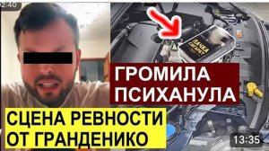 САМВЕЛ АДАМЯН, ОБЗОР ОТ СК