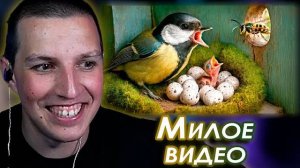 МАЗЕЛЛОВ СМОТРИТ: SlivkiShow - У НАС РОДИЛИСЬ ПТИЧКИ, НО МАТЬ ВЫНЕСЛА СВОЕГО ПТЕНЦА ИЗ ГНЕЗДА