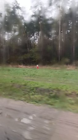 Дождь, дорога........