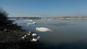 Ледоход на реке Бия, 11 апреля 2017 год