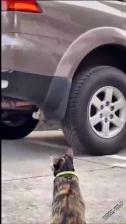 КОГДА ПОПАЛ В ЧУЖОЙ РАЙОН