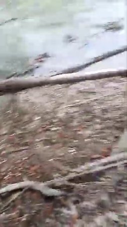 Травят реку Кума. Минеральные Воды. май 2024