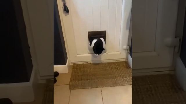 1000052723.mp4