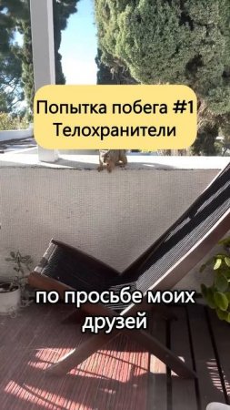 История белки-абьюзера #shorts