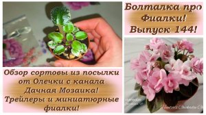 Болталка про Фиалки! Выпуск 144! Обзор сортов из посылки от Олечки с канала Дачная Мозаика!