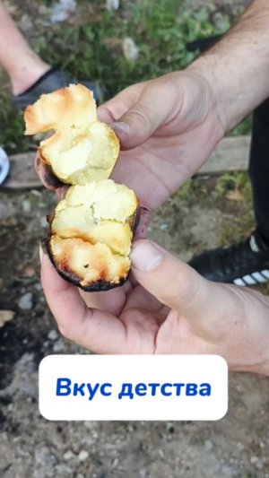 Давно картоху пекли?😁