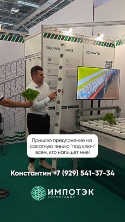 Выращивание салата на салатной линии