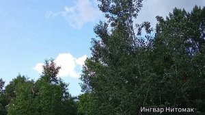 Песня " Голубой, шикарный блеск" Автор стихов Ингвар Нитомак