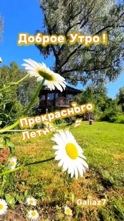 Доброе утро Хорошего дня