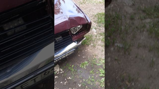 1000011177.mp4