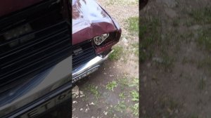1000011177.mp4
