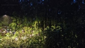 #дождь #релакс #шумдождя #звукидождя #медитация #антистресс #летнийдождь #природа #длясна #топ