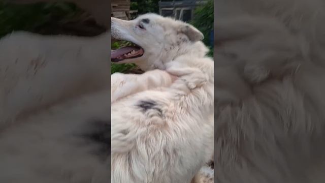 А это чёт такое тут валяется? Никому не нужное сокровище!
