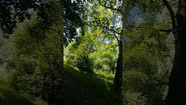 Гост кост