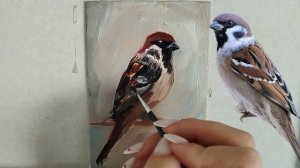 Мастер-класса "Воробушек" маслом.mp4