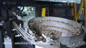 Rotary Transfer Machine for Gluing and Inserting