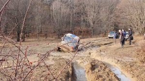 Очередной выходной в лесу