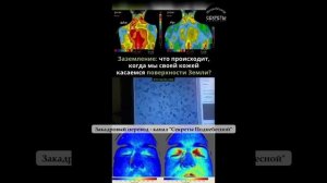таБлицО РУС VSEROD.COM и Менделеева ЛОЖьНое.