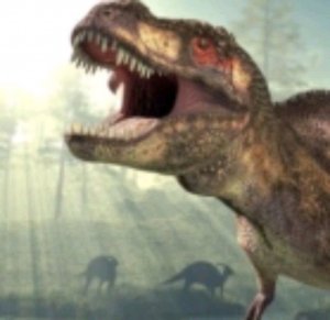 джастик world evolution стрим
