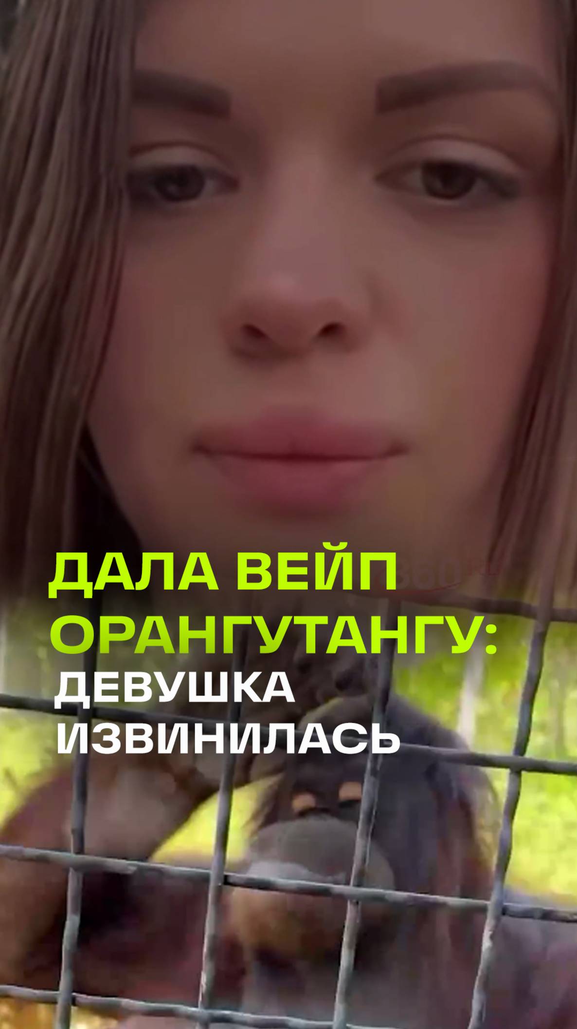Извинения боксерши, которая дала вейп орангутану