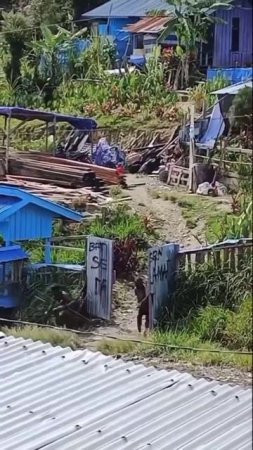 В Папуа Новой Гвинее началась своя СВО, но есть нюанс