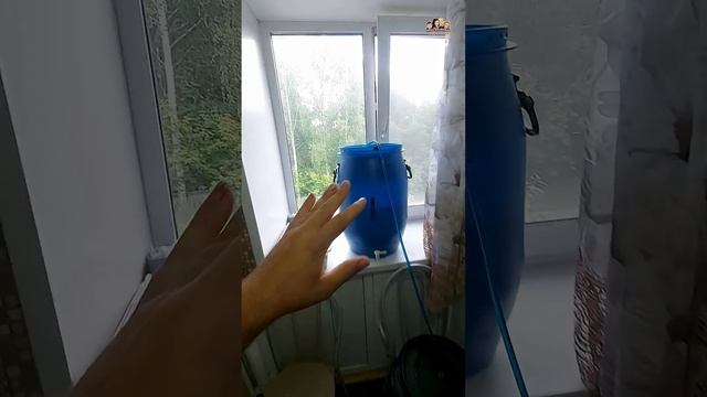 Как поставить сахарную брагу?/Какие дрожжи нужны для приготовления сахарной браги?/Сахарная брага!