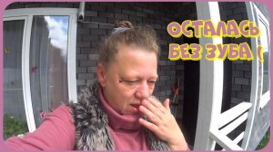 Не счастливый год / Какой дом теплее / Ягодки-цветочки