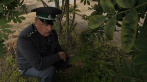 Экспертное мнение. Выпуск 128.