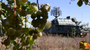 Силы ПВО за ночь уничтожили пять беспилотников ВСУ над тремя регионами России