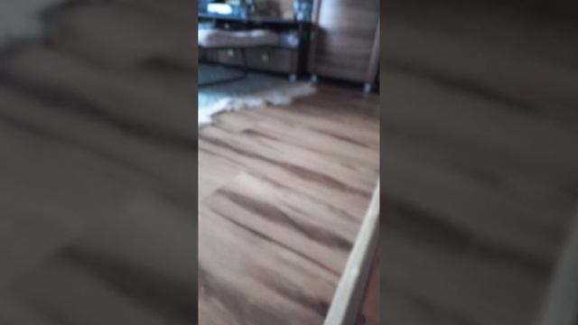 1000021433.mp4