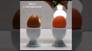 Берегите себя и своё здоровье 🙏