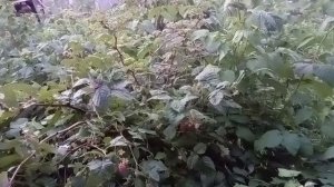 отличное образование в германии ..ничего не знают