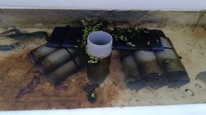 Циркуляция АККОов 30мин за 3мин