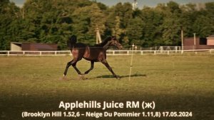 Applehills Juice RM (ж) (Brooklyn Hill 1.52,6 – Neige Du Pommier 1.11,8) 17.05.2024
