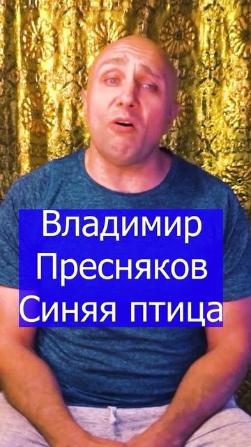 Владимир Пресняков - Синяя птица Клондайс кавер