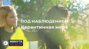 Карантин по бешенству сняли в Кантон-Коммуне в Приамурье