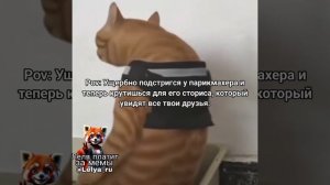 Мемчик от Лели