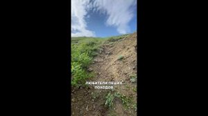 Дикарями по Приморью: «атака» кабанов и красивейшие кекуры в бухте Дубовой